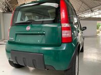 usata Fiat Panda 4x4 1.2 Climbing