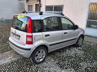 Usata Fiat Panda Dynamic 60 CV (44 kW) 2009 Grigio Utilitaria