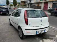 Usata Fiat Punto 80 CV (58 kW) 2003 Bianco Utilitaria