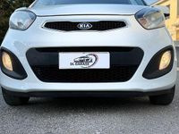 Usata Kia Picanto 69 CV (50 kW) 2012 Bianco Utilitaria