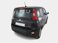 usata Fiat Panda 1.0 FireFly 70cv S&S Hybrid 5 PORTE