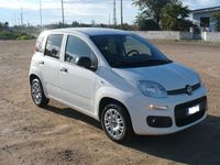 usata Fiat Panda 1.2 Pop