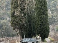 Usata Mercedes CLS350 Premium Plus 286 CV (210 kW) 2020 Coupé