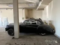 Usata Jaguar MK VII 1950 Bianco Berlina