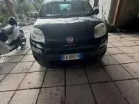 Usata Fiat Panda 85 CV (62 kW) 2013 Utilitaria