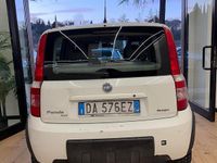 Usata Fiat Panda 4x4 Climbing 69 CV (50 kW) 2006 Bianco Utilitaria