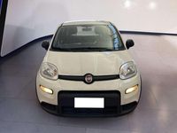 Usata Fiat Panda S 69 CV (50 kW) 2023 Bianco Utilitaria