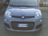 Usata Fiat Panda 70 CV (51 kW) 2022 Grigio Utilitaria