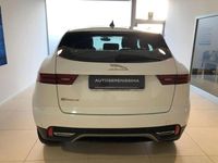 Usata Jaguar E-Pace S 163 CV (119 kW) 2021 Other SUV