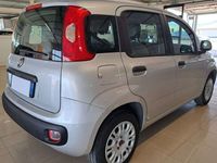 Usata Fiat Panda Easy 69 CV (50 kW) 2020 Grigio Utilitaria