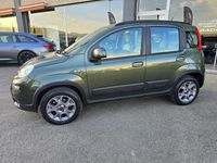 Usata Fiat Panda 4x4 Climbing 75 CV (55 kW) 2014 Verde Utilitaria