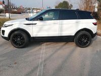 Usata Land Rover Range Rover evoque Pure 150 CV (110 kW) 2019 Bianco SUV