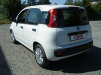 Usata Fiat Panda Easy 69 CV (50 kW) 2017 Bianco Utilitaria
