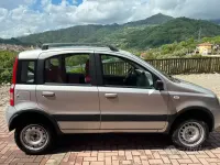 Usata Fiat Panda 4x4 60 CV (44 kW) 2005 Grigio Utilitaria