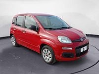 Usata Fiat Panda Pop 69 CV (50 kW) 2011 Rosso Utilitaria