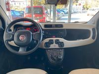 Usata Fiat Panda Lounge 95 CV (69 kW) 2016 Bianco Berlina