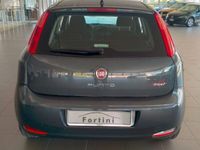 usata Fiat Punto 1.2 8V 5 porte Street