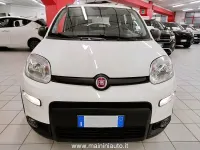 Usata Fiat Panda City Life 69 CV (50 kW) 2022 Bianco Utilitaria
