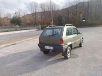 Usata Fiat Panda 4x4 Trekking 54 CV (39 kW) 2004 Verde Utilitaria