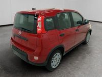 Usata Fiat Panda S 69 CV (50 kW) 2024 Rosso Utilitaria