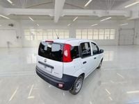 Usata Fiat Panda Pop 69 CV (50 kW) 2022 Utilitaria