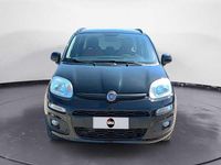 Usata Fiat Panda Easy 69 CV (50 kW) 2018 Nero Utilitaria