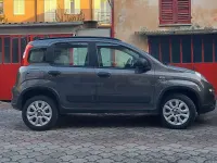 Usata Fiat Panda 4x4 S 86 CV (63 kW) 2019 Grigio Utilitaria