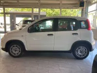 Usata Fiat Panda S 70 CV (51 kW) 2023 Bianco Utilitaria