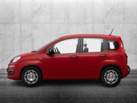 Usata Fiat Panda S 69 CV (50 kW) 2024 Rosso Utilitaria