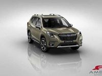 usata Subaru Forester 2.0 e-Boxer MHEV CVT Lineartronic Style nuova a Viterbo