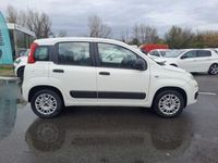 usata Fiat Panda 1.2 69cv E6 Easy