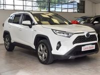 usata Toyota RAV4 EV 