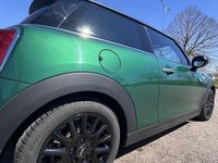 Usata Mini Cooper 136 CV (100 kW) 2020 Verde Utilitaria