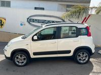 usata Fiat Panda 4x4 1.3 MTJ 75CV 2013