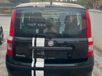 usata Fiat Panda 1.2 Dynamic con clima