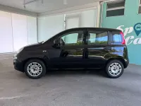 Usata Fiat Panda Easy 69 CV (50 kW) 2021 Nero Utilitaria