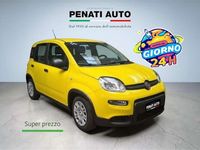 Usata Fiat Panda S 69 CV (50 kW) 2024 Giallo Utilitaria