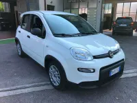 Usata Fiat Panda City Life 70 CV (51 kW) 2023 Bianco Utilitaria