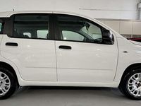 Usata Fiat Panda Easy 69 CV (50 kW) 2020 Bianco Utilitaria