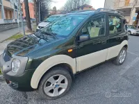 Usata Fiat Panda 4x4 Cross 69 CV (50 kW) 2007 Verde Utilitaria