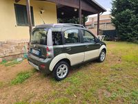 Usata Fiat Panda Cross 77 CV (56 kW) 2010 Verde Utilitaria