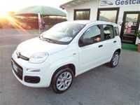 usata Fiat Panda 4x4 0.9 TwinAir Turbo S&S usato