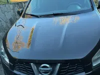 Usata Nissan Qashqai +2 Acenta 131 CV (96 kW) 2012 Nero SUV