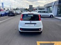 usata Fiat Panda 1.3 MJT 95 CV S&S Easy