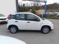 Usata Fiat Panda S 70 CV (51 kW) 2024 Utilitaria