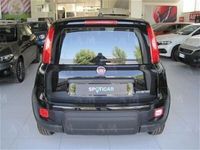 usata Fiat Panda 1.0 FireFly S&S Hybrid nuovo