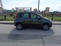 Usata Fiat Panda 4x4 75 CV (55 kW) 2014 Verde Utilitaria