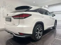 Usata Lexus RX450h Executive Line 262 CV (192 kW) 2019 Bianco perla SUV