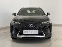 usata Lexus UX Hybrid Business