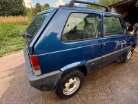 Usata Fiat Panda 4x4 54 CV (39 kW) 2001 Bluazzurro Utilitaria